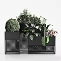 Modern Potted Plants With Black Geometric Planters And Green Foliage Decorative Shapes