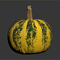 Fresh Yellow And Green Spotted Pumpkin As Seasonal Autumn Vegetable On Dark Background