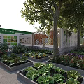 Garden Landscape Design With Vegetable Beds Flower Planters And Wooden Pergola