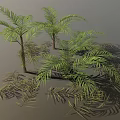 Lush Palm Trees With Green Feathery Leaves Brown Trunks And Scattered Leaves In 3D Render