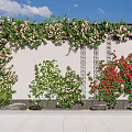 Climbing Vines With Pink White Red Flowers On Traditional Wall And Stone Base