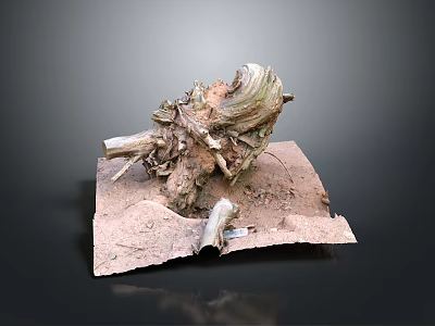 Natural Tree Root Decoration With Textured Surface And Twigs On Square Soil Base 3d model