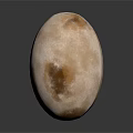 Oval Shaped Wood And Stone Decorative Piece In Beige With Brown Spots