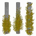 Lush Vines With Green And Orange Leaves Climbing On Gray Pillars
