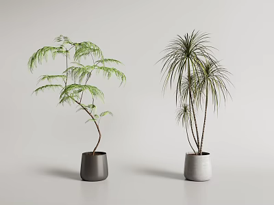 Two Different Types of Potted Plants with Green Leaves in Gray and White Minimalist Pots 3d model