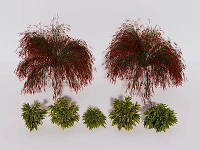 Lush Plant Combination with Red Weeping Plants and Green Shrubs in Landscape 3d model