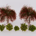 Lush Plant Combination with Red Weeping Plants and Green Shrubs in Landscape