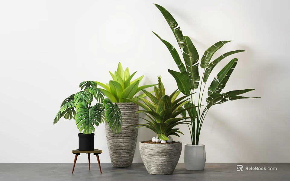 Indoor Potted Plants With Various Leafy Green Species And Decorative Woven Ceramic Planters 3d model 