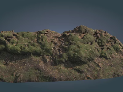 Natural Stone And Rustic Wood With Green Moss Covered Surface And Textured Details 3d model