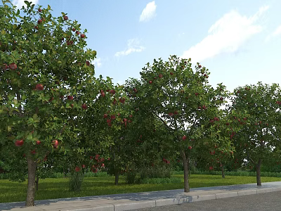 Lush Garden Landscape Featuring Apple Trees With Red Fruits Green Grass And Sidewalk Pathway 3d model