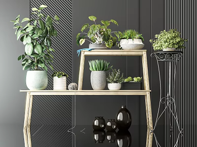 Modern Indoor Bonsai Potted Plants Display On Tiered Shelves With Ceramic Pots 3d model