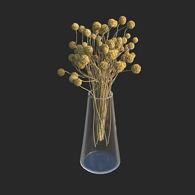 Transparent Conical Vase With Dried Yellow Spherical Blooms On Slender Stems 3d model