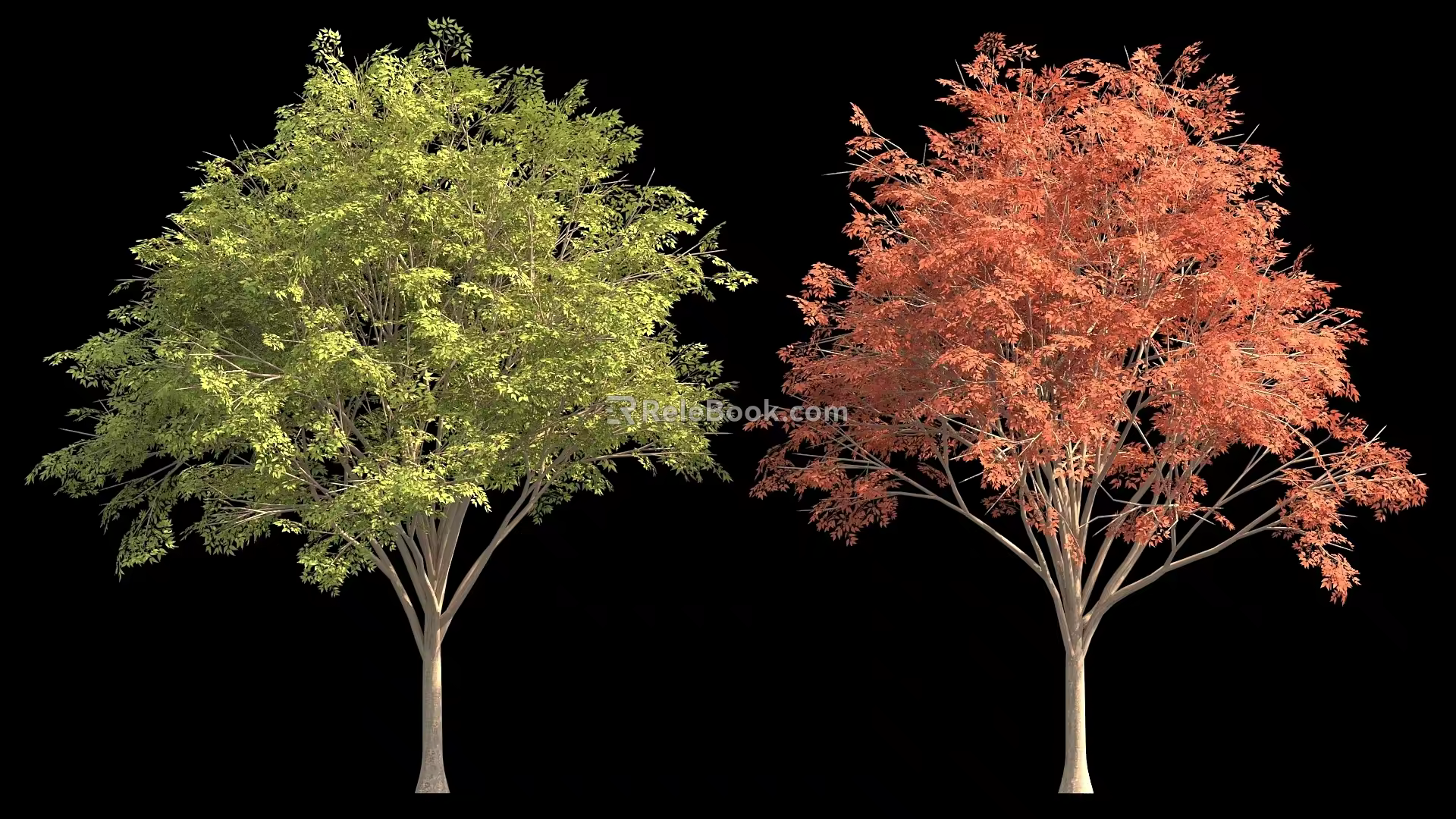 Park Street Trees Night View Lighting Green Planting Bird's Eye View Trees 3d model
