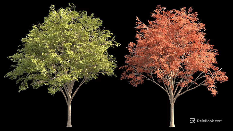 Two Trees With Different Colors Green And Red Foliage Against Black Background 3d model 