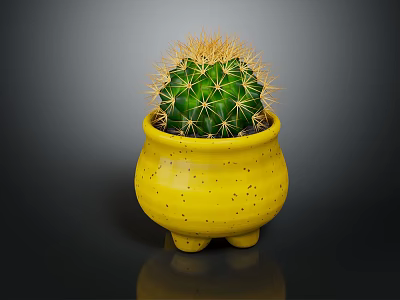 Green Spiny Cactus in Yellow Speckled Footed Pot against Dark Background 3d model