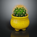 Green Spiny Cactus in Yellow Speckled Footed Pot against Dark Background