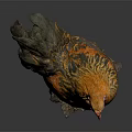 Vibrant Rooster With Orange And Black Feathers And Red Comb Standing On Gray Background