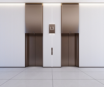 Style Elevator Aisle Corridor Public Area Features Office Building Elevator 3d model