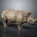 Rhinoceros 3D Model in Light Brown Color With Horns Standing on Neutral Gray Background