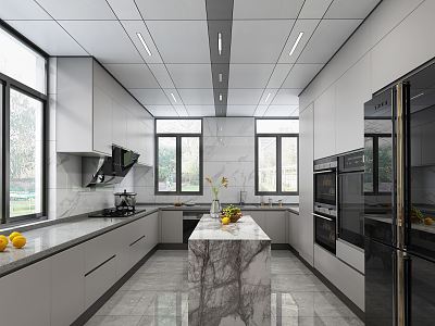 Modern Kitchen model