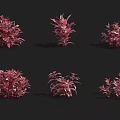 Red Decorative Shrubs With Various Shapes And Sizes On Dark Background 3d model