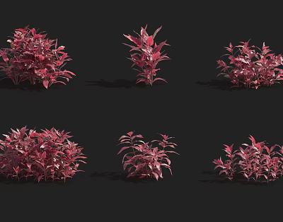 modern shrub red leaf wetland landscape shrub 3d model modern shrub red leaf wetland landscape shrub 3d model