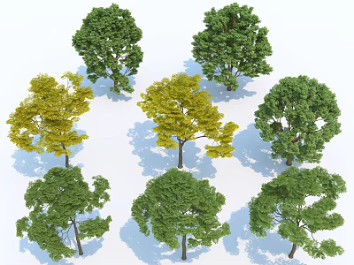 Diverse Arbor Trees With Green And Yellow Foliage And Lush Canopies 3d model