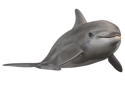 Playful Grey Dolphin With Curved Dorsal Fin And Friendly Smile 3d model