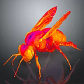 Vibrant Red and Orange Insect with Transparent Wings Shiny Body on Dark Background