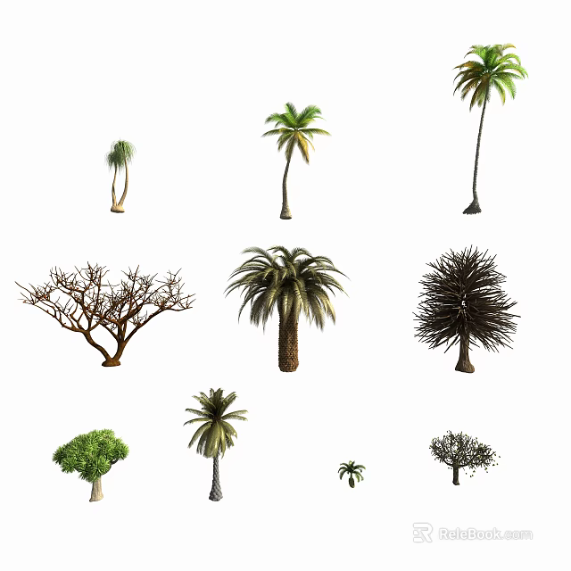 Various Arbor Trees Collection With Different Species And Natural Growth Forms 3d model 