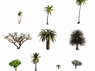 Various Arbor Trees Collection With Different Species And Natural Growth Forms 3d model