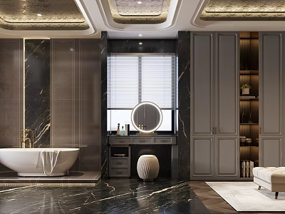 Luxury Cloakroom Interior Design With Marble And Cabinets 3d model