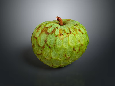 Custard Apple With Green Textured Skin And Small Stem On Dark Background 3d model