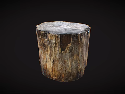 Natural Wooden Stump Decor With Rustic Stone Like Texture And Solid Structure 3d model
