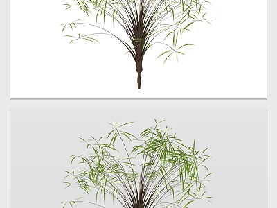 Tall Bamboo Arbor With Lush Green Leaves And Slender Stems 3d model