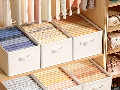 Organized Clothes Storage In Wardrobe With Storage Boxes 3d model