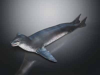 Dark Spotted Seal With Sleek Body Flippers And Tail On Shiny Surface Showing Natural Features 3d model