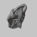 Dusk Bone Shield 3d model