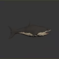 3D Shark Model With Open Mouth Red Teeth On Gray Background 3d model