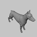 Realistic Doberman 3D Model With Black And Tan Coat Standing Pose 3d model