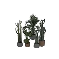 Modern Natural Garden Decor With Cactus Palm And Green Plants In Concrete And Wooden Planters