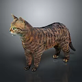 Realistic Tabby Cat Standing On Reflective Surface With Striped Fur And Green Eyes