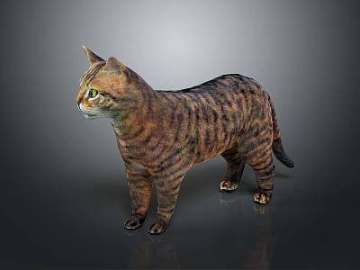 Realistic Tabby Cat Standing On Reflective Surface With Striped Fur And Green Eyes 3d model