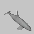Black And White Orca With Dorsal Fin Swimming In Blue Water