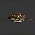 Brown Sea Turtle With Patterned Shell And Flippers On Dark Background