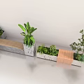 Bonsai Potted Plants With Green Foliage In Concrete And Wooden Planters For Indoor Decor