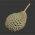 Fresh Durian Fruit With Spiky Yellow Skin And Long Stem
