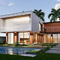 Modern Detached Villa With Glass Facade Swimming Pool Palm Trees And Greenery