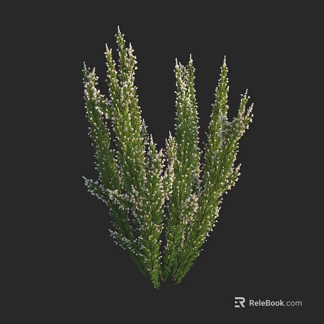 Lush Green Shrub With White Small Blooms For Garden Landscaping Design 3d model 