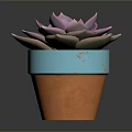 Rosette Shaped Succulent Plant With Pinkish Purple Leaves In Blue And Orange Pot